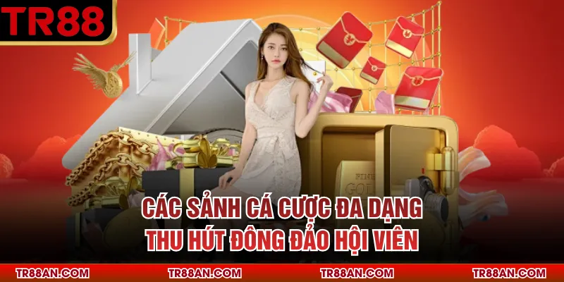 TR88 Các sảnh cá cược đa dạng thu hút đông đảo hội viên