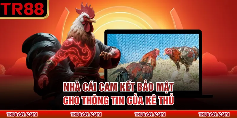 Nhà cái cam kết bảo mật cho thông tin của kê thủ