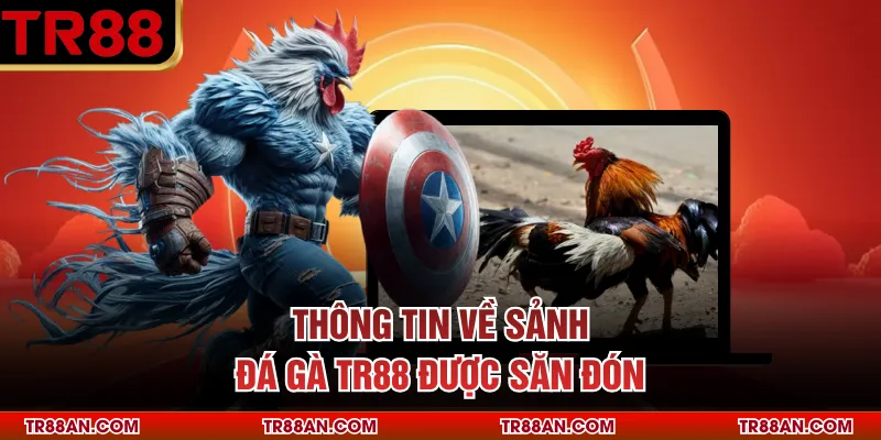 Thông tin về sảnh đá gà TR88 được săn đón
